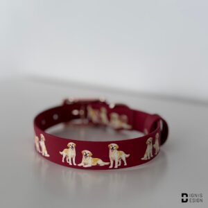 Dignis Design Labrador