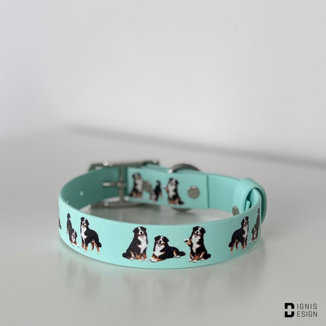 Dignis Dogs Berneńczyk