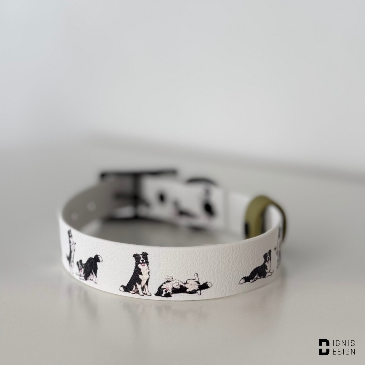 Dignis Dogs Border Collie