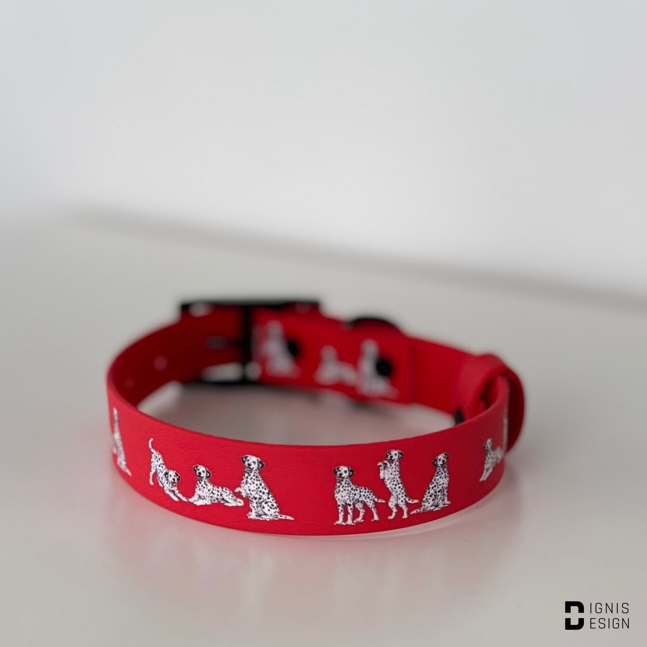 Dignis Dogs Dalmatyńczyk