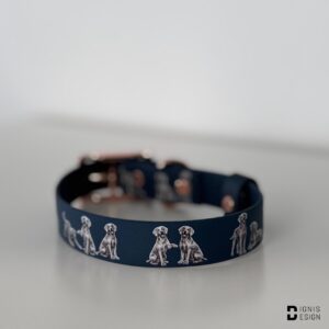 Dignis Design Wyżeł weimarski